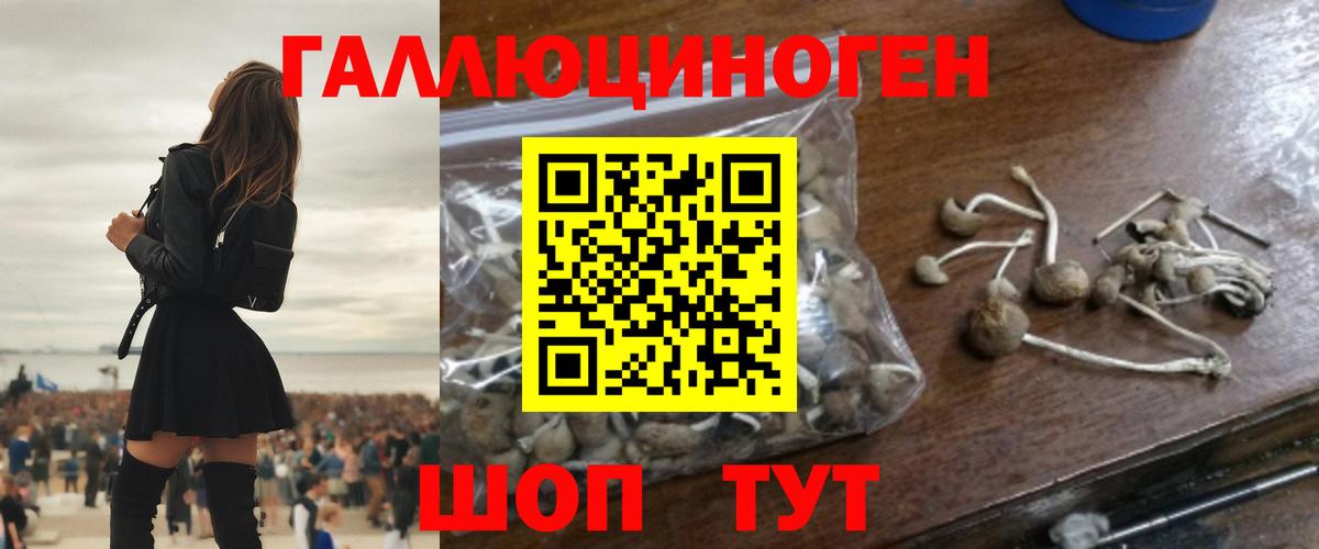 Псилоцибиновые грибы мухоморы  Галлюциногенные грибы MAGIC MUSHROOMS  Вход с VPN  где купить наркотик  Будённовск 