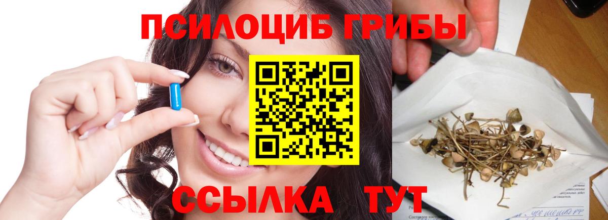 Псилоцибиновые грибы мухоморы Будённовск